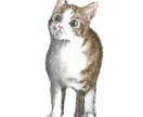 データでお届け／ペットの似顔絵作成します オリジナルグッズやアイコンにご利用ください イメージ3