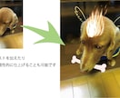 写真の気になるところを修正します 思い出をより色鮮やかに！理想的に！ イメージ3