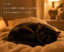 ねぇねぇ、聞いて！のお部屋開いてます おかえりなさい！たわいもないお話で温かい時を過ごしましょう。 イメージ4