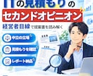 ITの見積もりのセカンドオピニオンを行います システム開発会社が、経営者目線で提案書を読み解く イメージ1