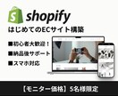 モニター価格！ShopifyでECサイト構築します とりあえずECを始めたい方のための構築サービス イメージ1