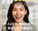 初心者歓迎！伝わるチラシを5千円で制作します 構成力◎効果重視！ビジネスチラシを低価格でデザイン イメージ1