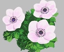 植物のイラストを制作します 現役農家が植物のイラストを作成します。 イメージ1