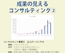 プレミアムプラン・Amazon出品コンサルします 売上を構造から伸ばす戦略設計支援 イメージ8
