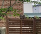 雑談、愚痴聞きます ベテラン看護師が話し相手になります イメージ2