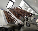中国での衣料製造・調達・物流支援ます 20年以上の経験を持つ専門工場 小ロット対応可能、品質保証 イメージ3
