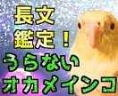 西洋占星術の基本性格+ハウスを占います 【ちゅうくらいのオカメインコうらない】才能の星の在処を探せ イメージ1