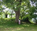 恋愛全般、結婚生活、遠距離恋愛などの質問に答えます １時間1,000円　ラインやチャット感覚でお話しよう♪ イメージ3