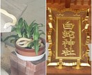 子育ての悩み、お金の悩み、夫婦間の悩みなど聞きます 1人で悩まずに話して頂けると心を癒し貴方を笑顔にします。 イメージ5