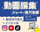 各種SNS 動画編集いたします 作りたいを丁寧にサポート致します！丸投げOK！ イメージ1