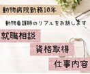 動物看護師の仕事や資格取得の相談に乗ります 動物病院勤務10年の経験をもとにお答えします イメージ1