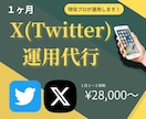 X(Twitter)1ヶ月運用サポートします 現役プロSNSマーケターがアカウントの成長をサポート！ イメージ1