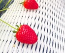 人生・恋愛相談致します 話を聞いてほしいどうすれば上手くいくの?そんなあなたに! イメージ1