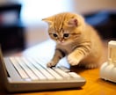 楽天市場出店後のお悩み相談、運営サポートします ECサイト、1週間みっちり問題解決、サポート、相談承ります イメージ3