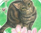 ペットの似顔絵をお好きなお花と共にお描きします 原画郵送！/ハガキサイズから/額縁付き/お花と動物 イメージ4