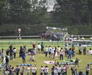 競馬de副業　10月27日天皇秋の予想公開します 明日の競馬の予想にお困りの方必見！4頭ピックアップ！！ イメージ1