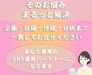 伴走型SNSサポート、１ヶ月インスタ運用代行します 丁寧なヒアリングで、伴走型のインスタ運用代行 イメージ3