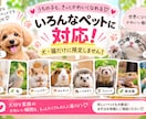 ペット写真1枚から可愛いリール動画15本作ります あなたのペットが主役！15秒のAI動画を15本制作 イメージ5