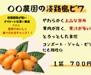 直売所・マルシェ向け｜ 野菜POPをデザインします 魅力が伝わる農産物POP｜ 売り上げUPを狙う イメージ4