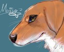 うちの子イラスト描きます 実績を積むためにお安くなっております イメージ1