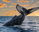 神化リネージ・リベレーター ∇ 魂の主権回復します 家系から続く「沈黙の呪縛」を消去し、魂の主権を完全奪還します イメージ5