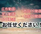 お店・商品・YouTubeなどのPR動画作成します 動画や画像を使用して動画作成します イメージ1
