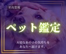 至高霊視｜ペットの本音をあなたにお伝えします 大切なあの子の本当の気持ちを知りたいあなたへ イメージ1