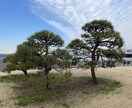写真の色編集、光編集承ります 写真がなんか物足りないと感じた時綺麗な色合いに編集します イメージ10