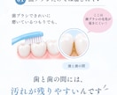 歯科衛生士がInstagram投稿を作成します 単発OK｜歯科医院向け｜必要なときに1投稿から イメージ4