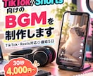 TikTok/Shorts向けのBGMを制作します TikTok・Reels対応◎最短5日・30秒4,000円〜 イメージ1