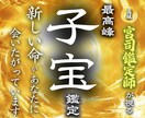 強力霊視で授かりの合図を視る卍最高峰子宝鑑定します 【魂のご縁を深く視て授かりの道を導く】大ボリューム集中鑑定 イメージ1