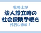 社労士が法人設立時の社会保険手続き代行します 株式会社、合同会社など設立時のお手続きとなります イメージ1
