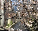 あなたの心に親身になって寄り添います １日間、心身ともに癒されてみませんか？ イメージ1