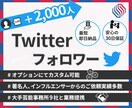 Twitter★フォロワー【2000人】増加します 30日の減少保証付☆+2,000人 3,000円でご提供中！ イメージ1