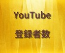 YouTube登録者数プロモーション支援いたします 登録者増加に向けた施策をご提案！ イメージ3
