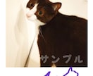 ペットのサイン制作します 〜写真にサインを書き込んでプレゼント〜爬虫類も大歓迎 イメージ2
