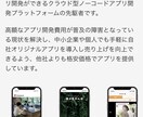 iOS/Androidアプリ開発を承ります 画面のデザインからAppStore公開迄を最短3日で即納可能 イメージ2