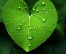 復縁専門♡忘れられないあの人と再結縁！力になります よみがえりの力♡絶望を希望に転換したい方へ寄り添いアドバイス イメージ2