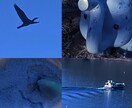 綺麗で雰囲気のある4枚写真を制作します 綺麗なものが好きな方、雰囲気のある写真が好きな方など向け イメージ2