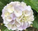こころのブロックを解除します 『潜在意識』を根本から書き換えます♫ イメージ1