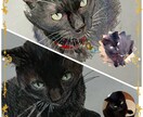 お家の猫ちゃんの似顔絵描きます 色鉛筆で丁寧に仕上げます！！お顔中心に描かせて戴きます。 イメージ3