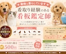 最短10分 大切なあの子の今の気持ちを視ます 即日対応｜ペット全般OK｜今伝えたい気持ちを1〜2行でお届け イメージ2