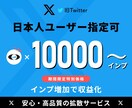 X(旧Twitter)のインプを1万増やします ⭐️期間限定特別価格⭐️日本人ユーザー指定可⭐️高品質 イメージ1