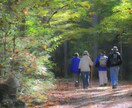 夢中になれる♪50代から始める大人の趣味提案します 一緒に楽しい趣味を始めませんか？ イメージ9