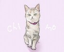 大切なうちの子(ペット)お描きします ご相談だけでもまずはお気軽にお声掛けください！ イメージ1