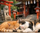 人生全体の流れを霊視し、今すべきことを明確にします 複数のお悩みも一本の線に整え、幸せへと導きます イメージ6