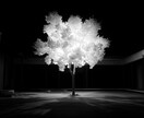 魂の最終鑑定 あなたの運命の地図を描き出します 最後に辿り着く、人生と愛の真実を紐解く魂の究極鑑定 イメージ1