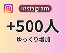 インスタのフォロワー1週間で500人増やします ゆっくり自然に☆1週間でフォロワー増加をサポート イメージ1