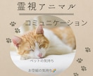 霊視アニマルコミュニケーションペットの声を伝えます 霊視アニマルコミュニケーションペットの本音視えたまま伝えます イメージ1