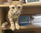 お暇な方、愚痴でも雑談でも1分からでも聴きます 楽しい一時を一緒に過ごしましょう！ イメージ2